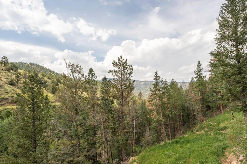 Sodacreek Look-Out .3 Mi From I70 + Hotsprings Idaho Springs Exterior foto